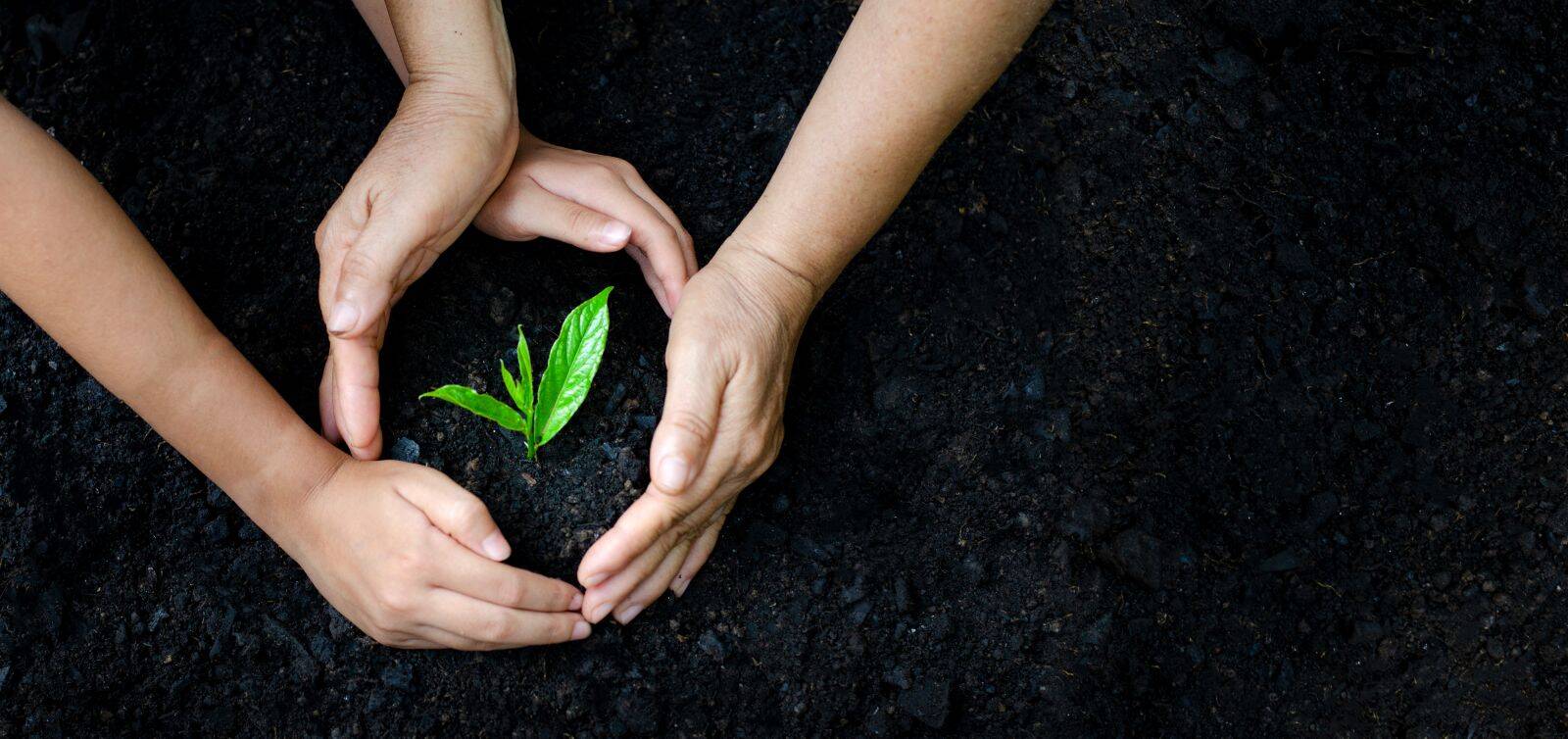 earth day one plant1
