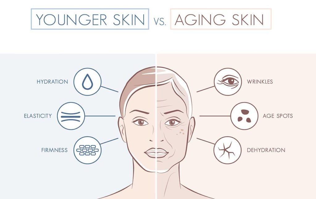 younger vs aging skin